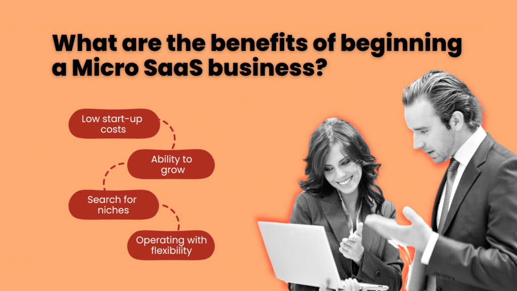 What are the benefits of beginning a Micro Saas Business