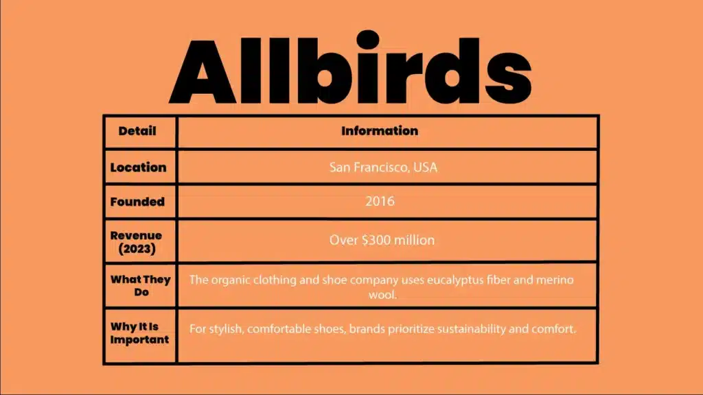 Allbirds - A Fashion Startup