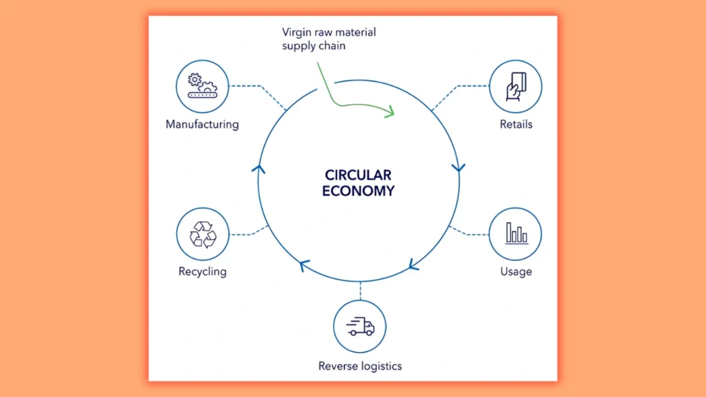 an infographic showing circular logistic model