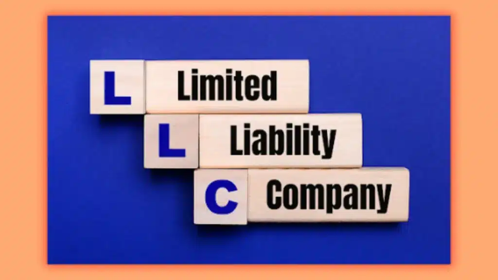 RS 7 page 7 Limited Liability Company LLC