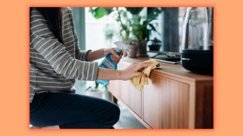 a woman cleaning furniture