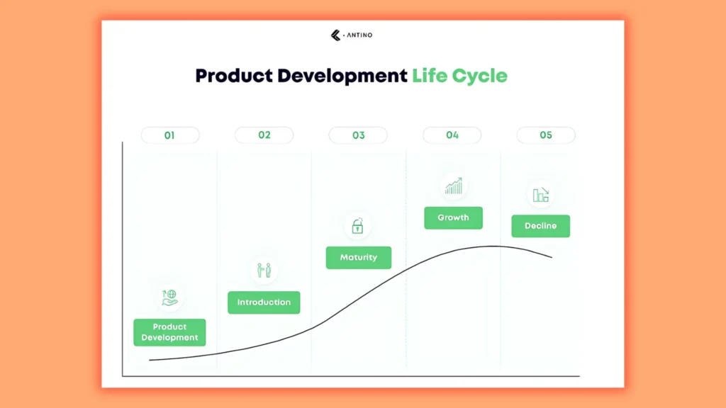 a image of chart to explain product development life cycle 