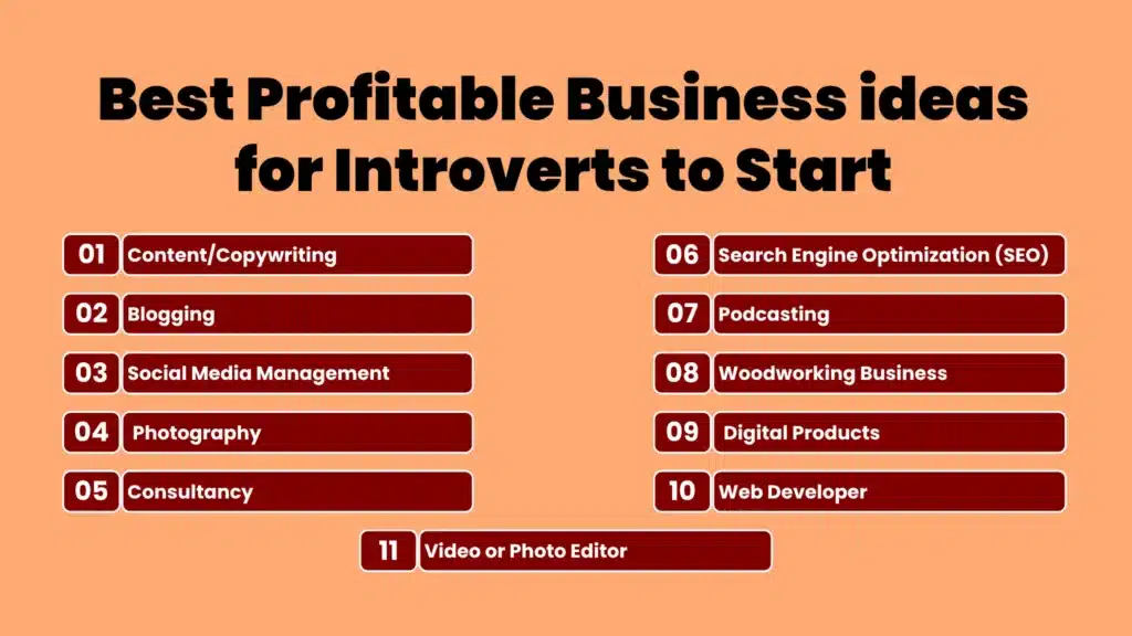 an infographic showing profitable business ideas for introverts