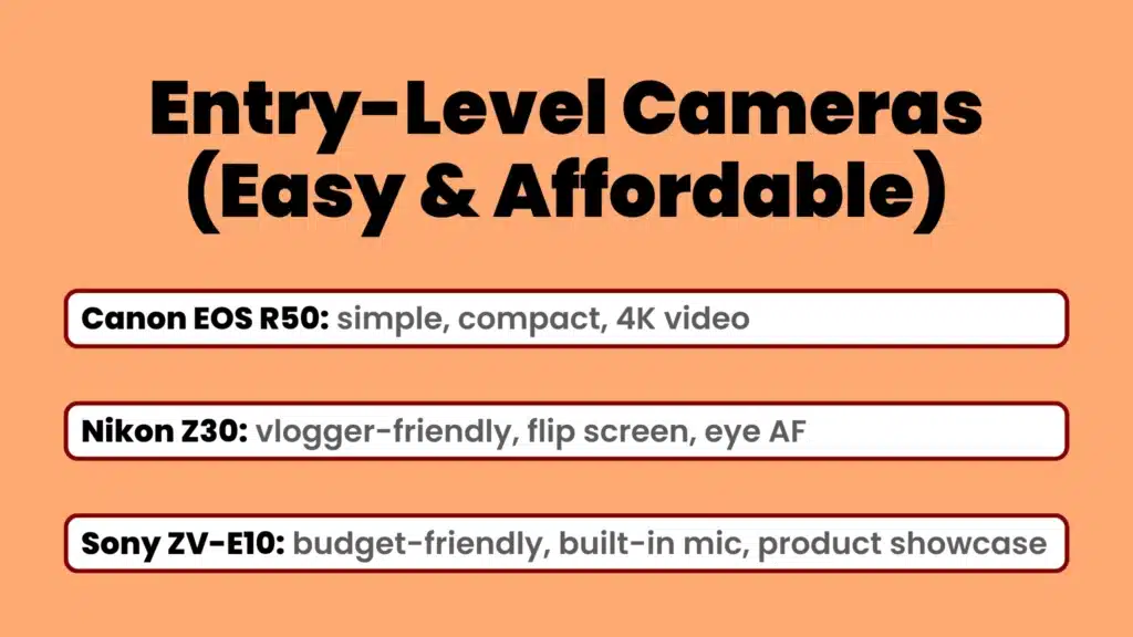an image about Entry-Level Cameras (Easy & Affordable)