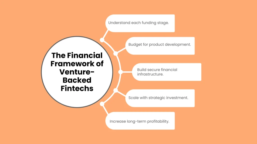 The Financial Framework of Venture-Backed Fintechs