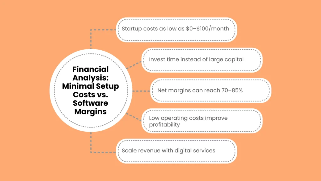 Financial Analysis: Minimal Setup Costs vs. Software Margins