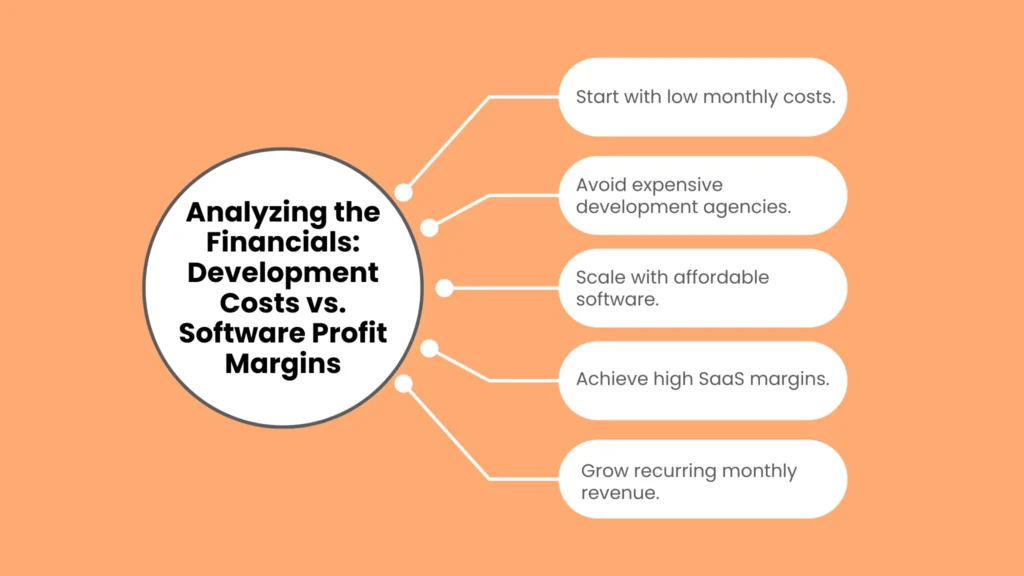 Analyzing the Financials: Development Costs vs. Software Profit Margins