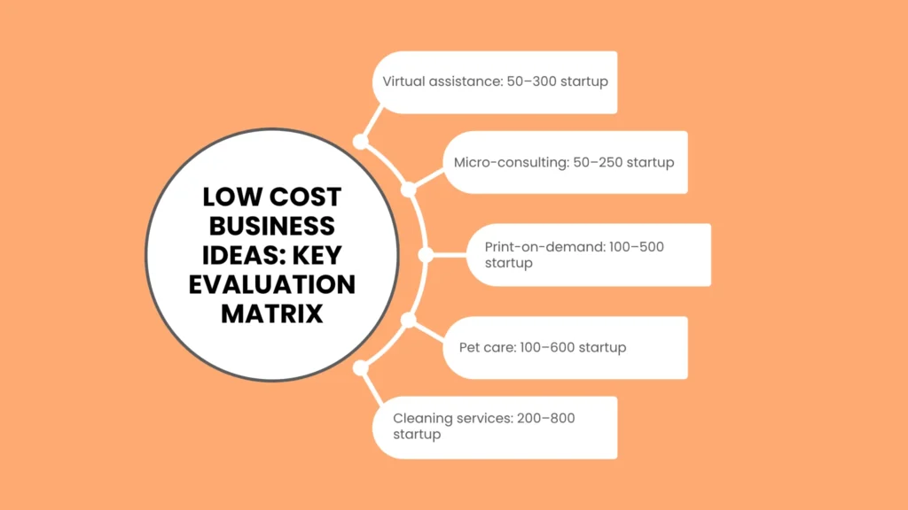 Low Cost Business Ideas: Key Evaluation Matrix