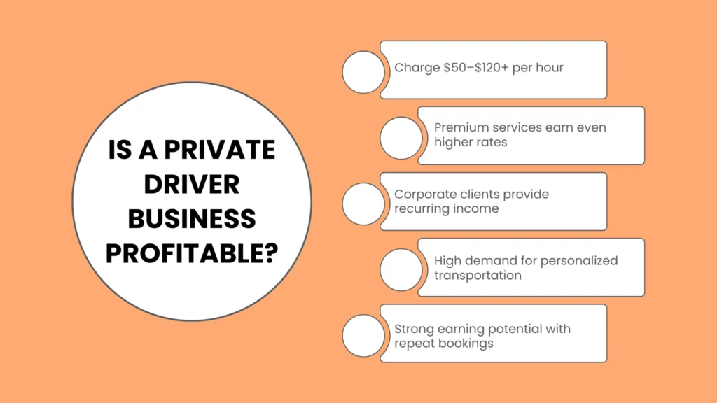 Is a Private Driver Business Profitable?