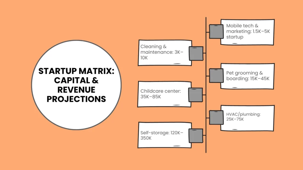 Startup Matrix: Capital & Revenue Projections