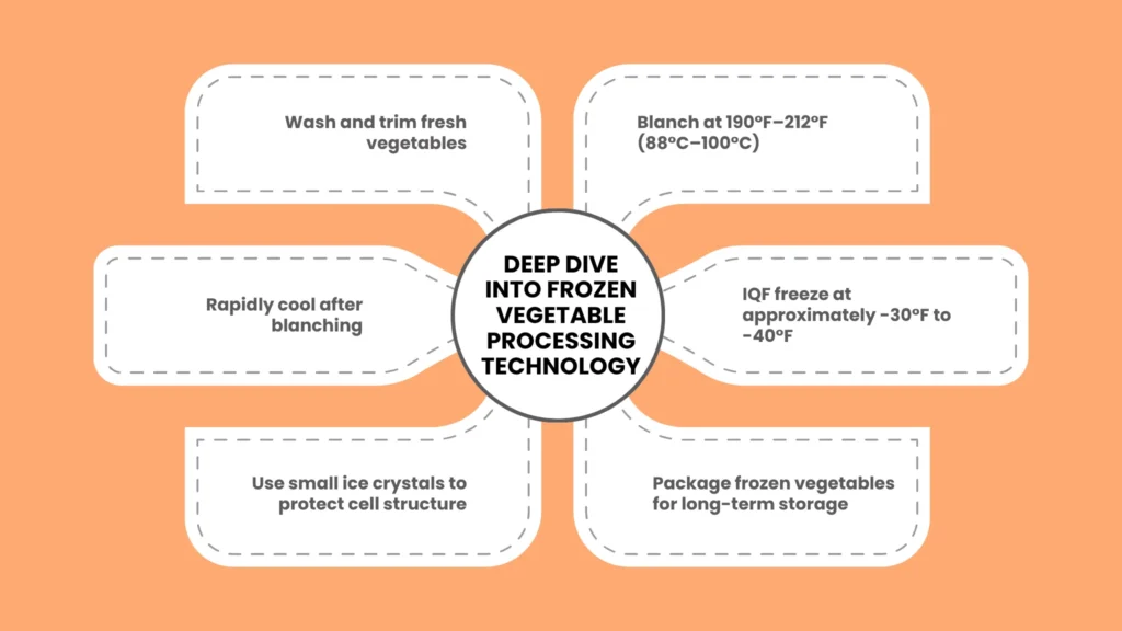 Deep Dive into Frozen Vegetable Processing Technology