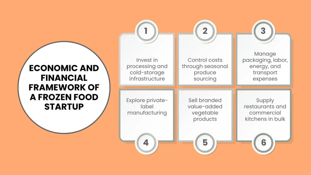 Economic and Financial Framework of a Frozen Food Startup