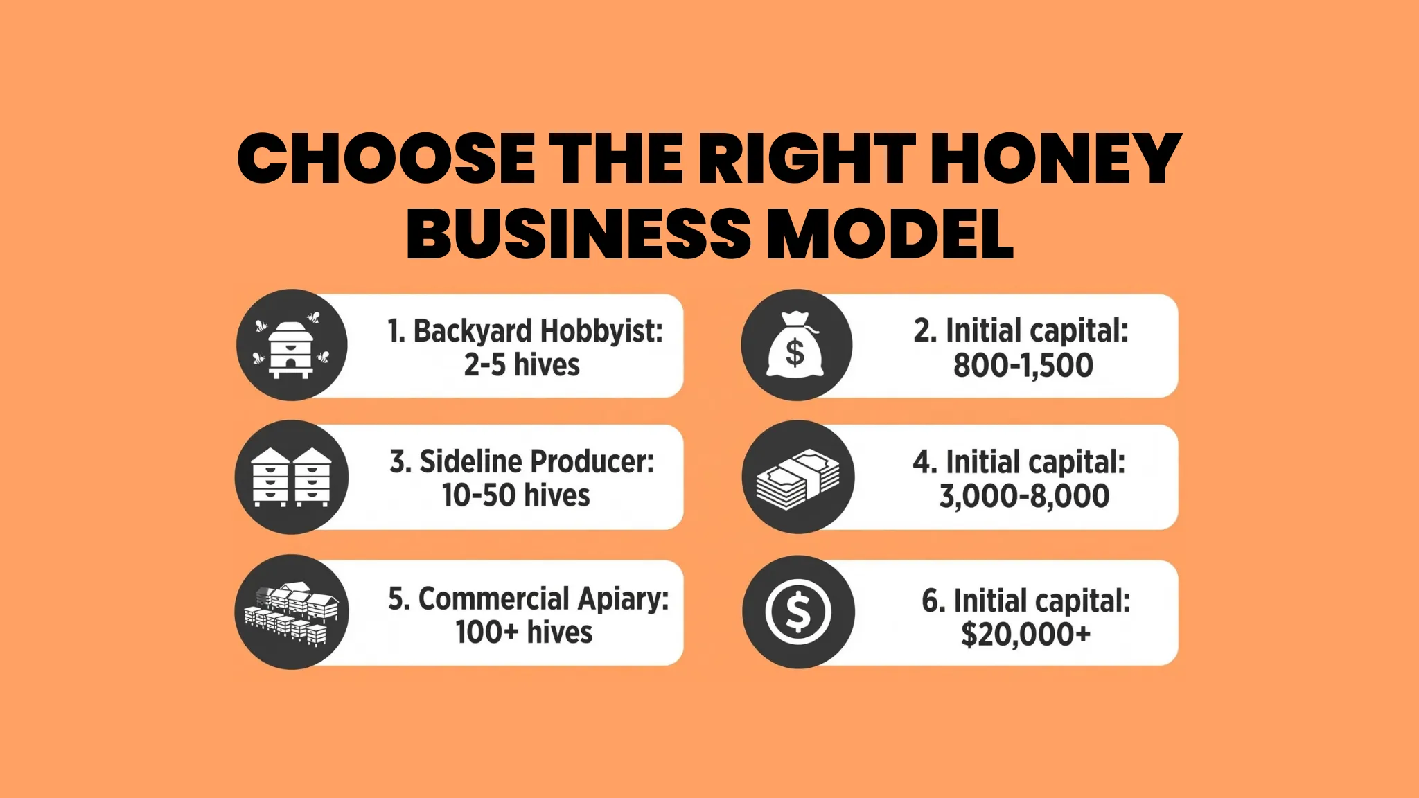 Why Is Honey Such a Sweet Business Opportunity?